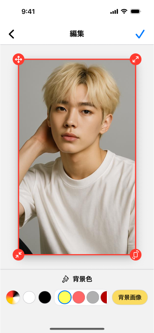 キセカエパレットアプリの画面例1